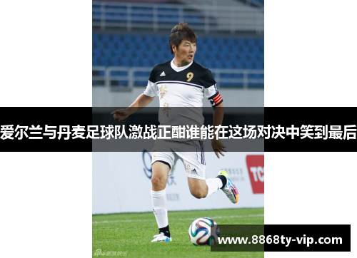爱尔兰与丹麦足球队激战正酣谁能在这场对决中笑到最后